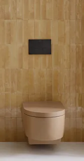 Унитаз, Duravit, Balcoon, подвесной, шгв 305*540*360, DuraShield, цвет-Clay terra matt