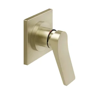 Смеситель для душа, Gessi, Rilievo, на 1 потребитель, цвет-Brushed Brass PVD