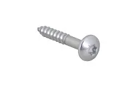 Шуруп RapidRail Torx TX30, 6x40мм — иконка
