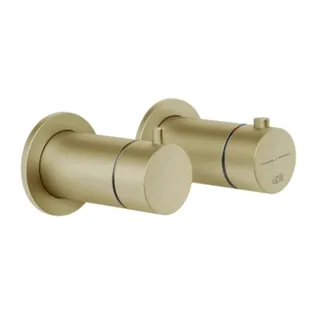 Смеситель для душа, Gessi, Anello, на 2 потребителя, цвет-Brushed Brass PVD