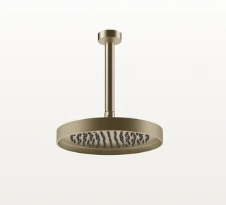 Верхний душ, Gessi, Tondo, 250*250, цвет-Finox Brushed Nickel — иконка