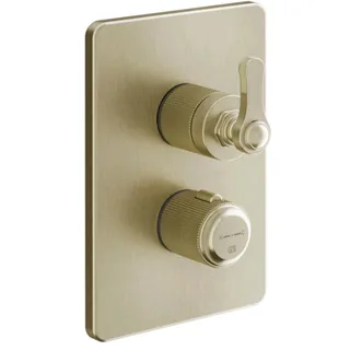 Смеситель для душа, Gessi, VENTI20, на 1 потребитель, цвет-Brushed Brass PVD