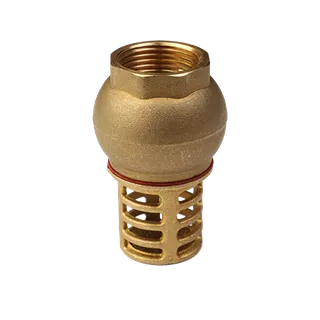 Клапан обратный, Premium, 1", ВВ, PN 16, донный