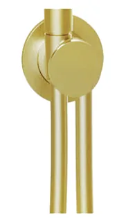 Шланговое подсоединение, Almar, Showers Accessories с держателем и шлангом, цвет-High Brass Brushed PVD (Товар заказной, возврату не подлежит)