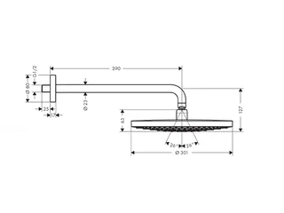 Верхний душ, Hansgrohe, Raindance Select S, 300*300, цвет-хром — изображение 1