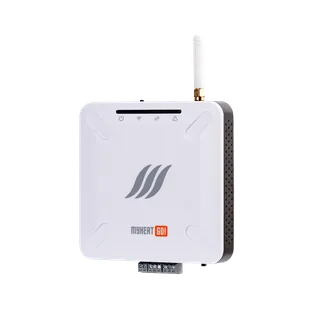 Контроллер, MyHeat, GO!, для удалённого управления котлом отопления, 2 канала связи-GSM 2G и Wi-Fi 2.4g — изображение 1